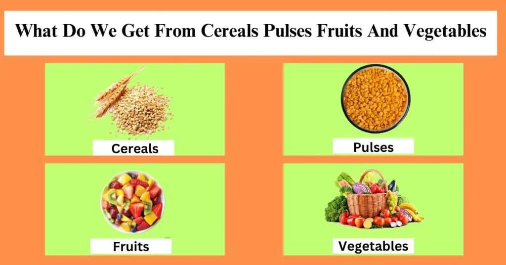 What Do We Get From Cereals Pulses Fruits And Vegetables
