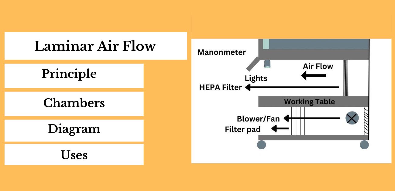 Laminar Air Flow Working Principle And Uses With Diagram