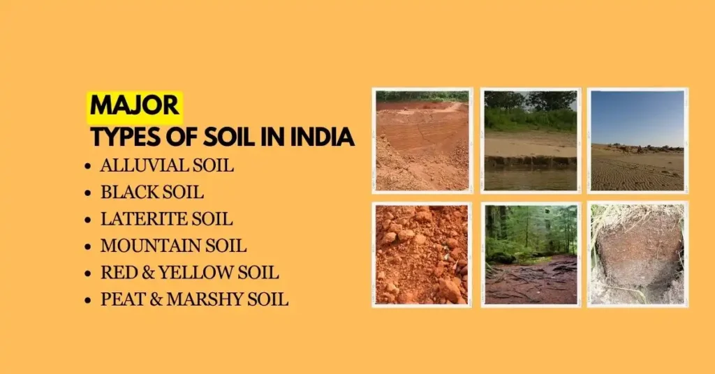 types of soil in India