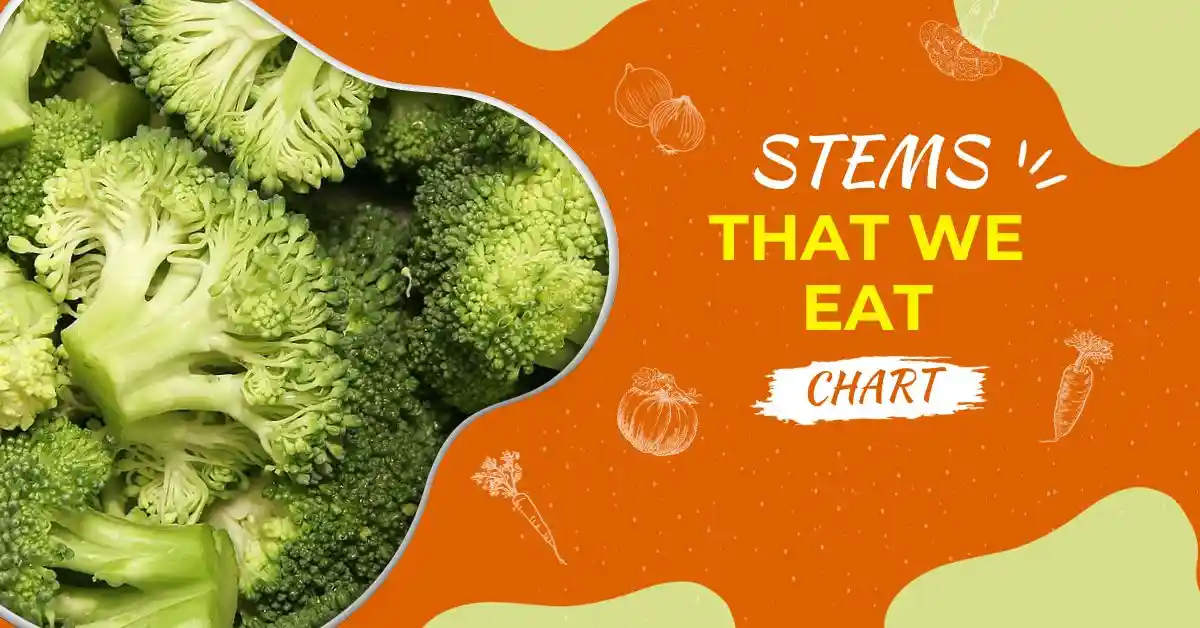 Vegetable Stems We Eat: 6+ Vegetable Stems You Can Eat!
